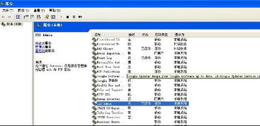 為什么Internet信息服務中沒有項目顯示？